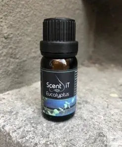 SI Geurolie Eucalyptus - Brinkies.shop