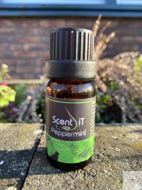 SI Geurolie Peppermint - Brinkies.shop