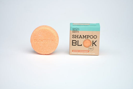 BZ Shampoo Blok Gember Sinaasappel - Brinkies.shop